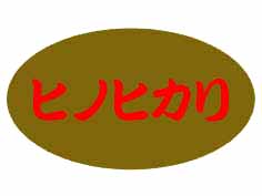 ҥΥҥ