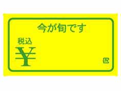 ܤǤǹʲͳѡ