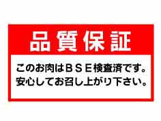 ʼݾڡΤBSEѤǤ¿Ƥ夬겼