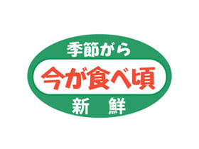 ᤬麣٤