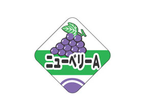 ˥塼٥꡼A