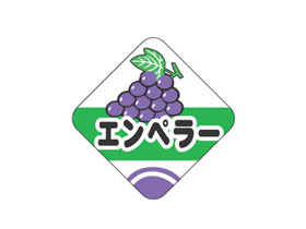 ڥ顼
