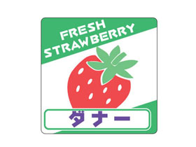 ʡ
