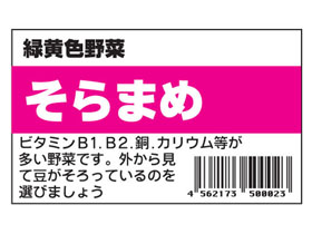 вڡޤ