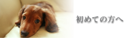 Ƥ